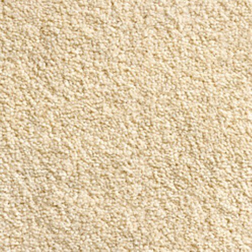 Bathroom carpet water rot - water, &