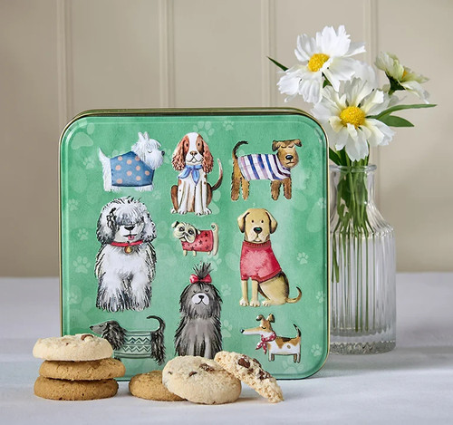 Dogs jumpers tin with - in,